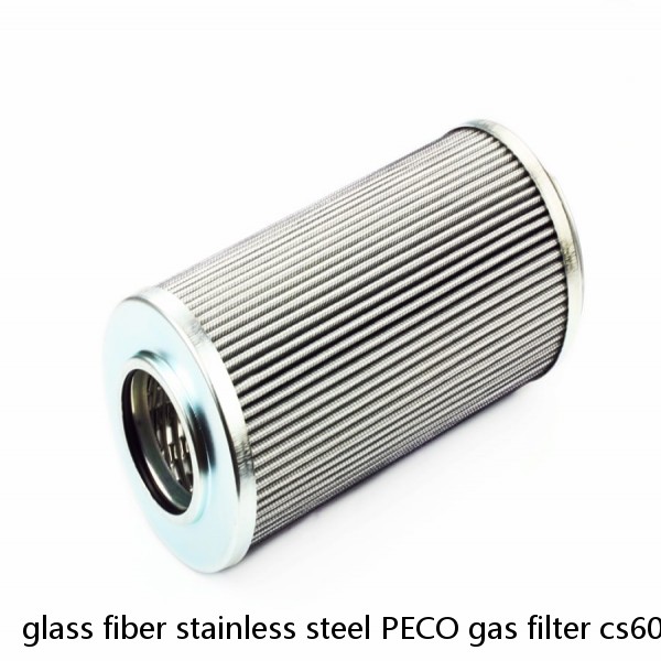 glass fiber stainless steel PECO gas filter cs604lgdh13