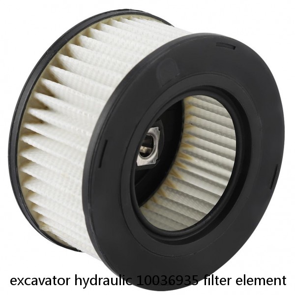 excavator hydraulic 10036935 filter element