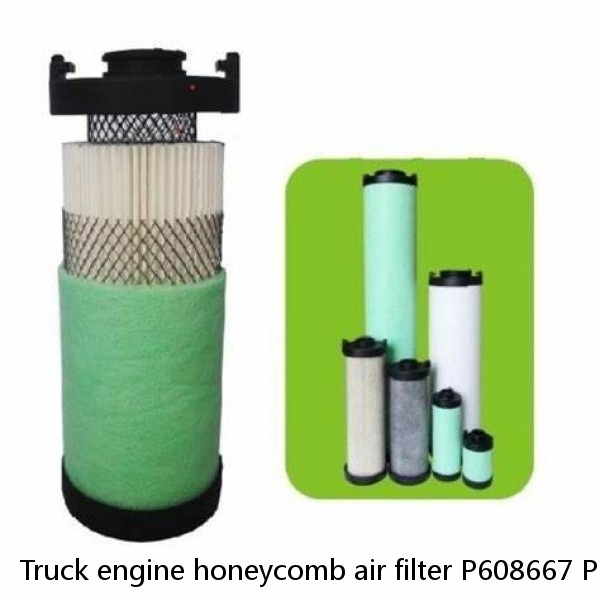 Truck engine honeycomb air filter P608667 P607557
