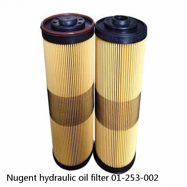 Nugent hydraulic oil filter 01-253-002