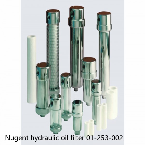 Nugent hydraulic oil filter 01-253-002