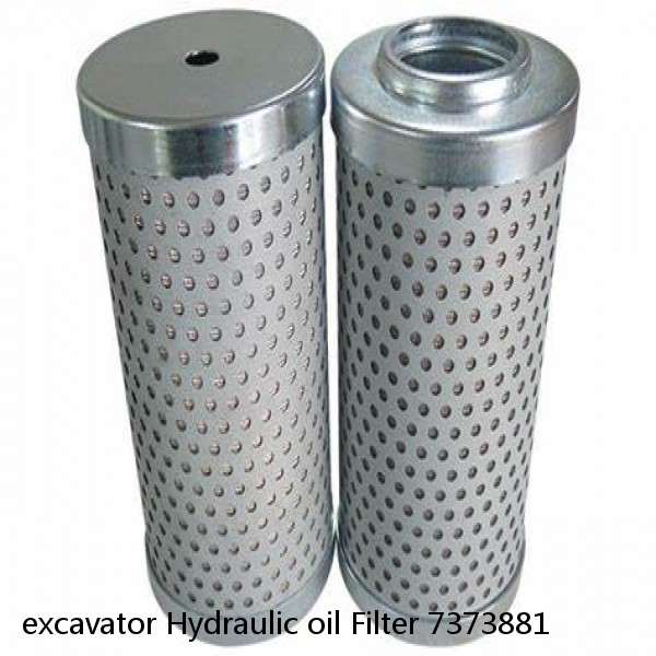 excavator Hydraulic oil Filter 7373881