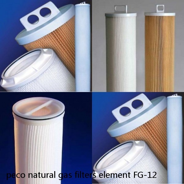 peco natural gas filters element FG-12