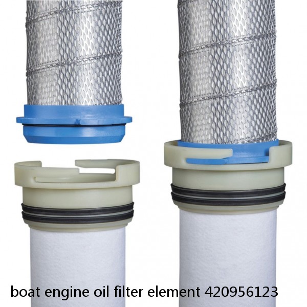 boat engine oil filter element 420956123