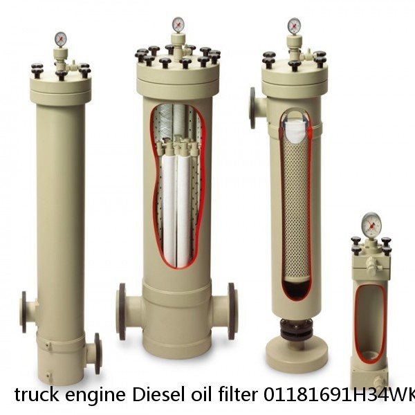 truck engine Diesel oil filter 01181691H34WK XN330 A0010920301