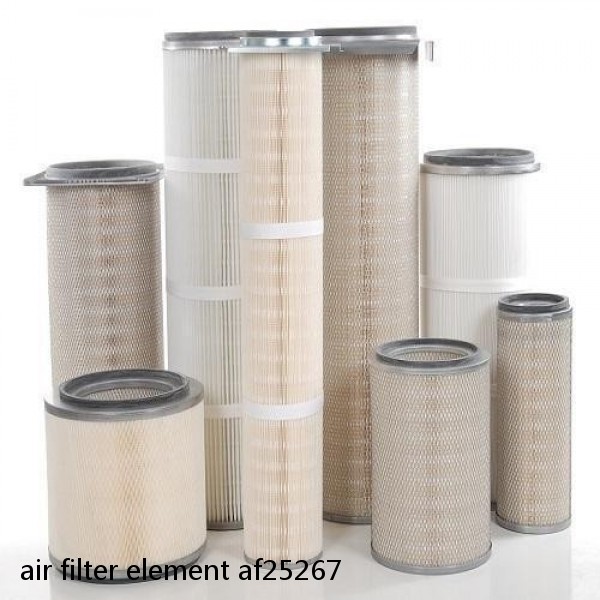 air filter element af25267