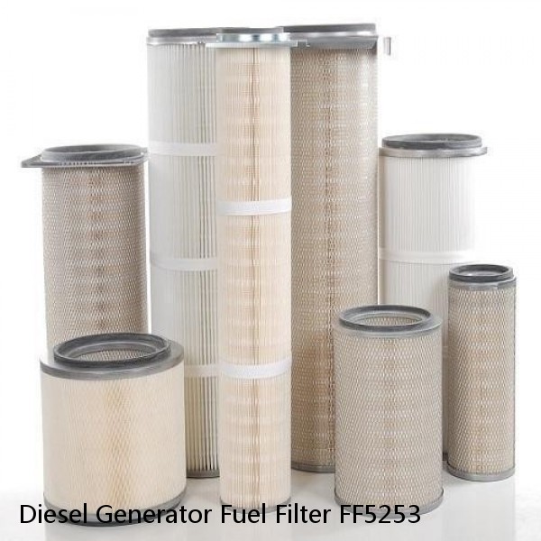 Diesel Generator Fuel Filter FF5253 #3 small image
