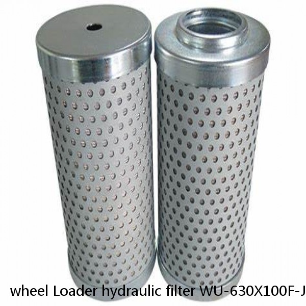 wheel Loader hydraulic filter WU-630X100F-J 803164216 #1 small image