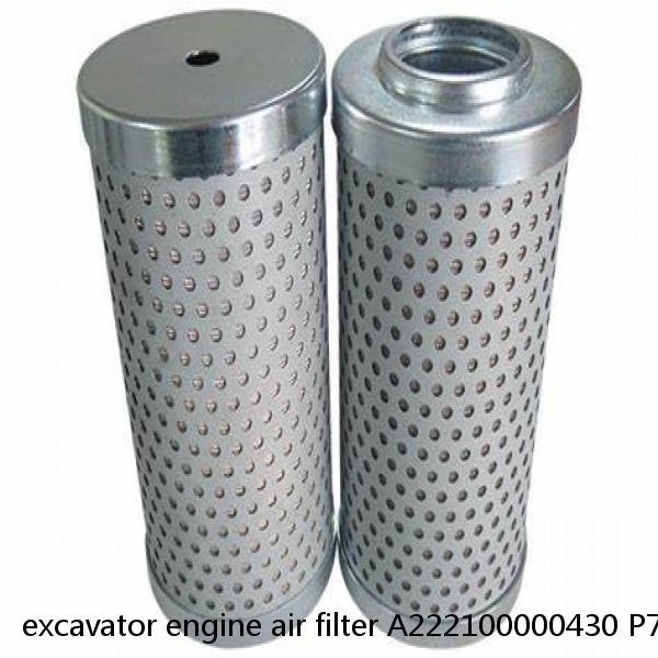excavator engine air filter A222100000430 P785776 11N6-27040-A