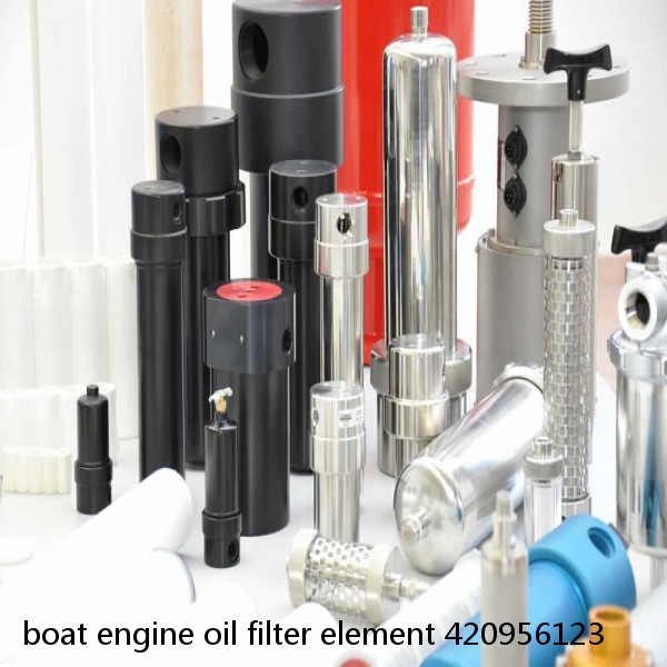 boat engine oil filter element 420956123