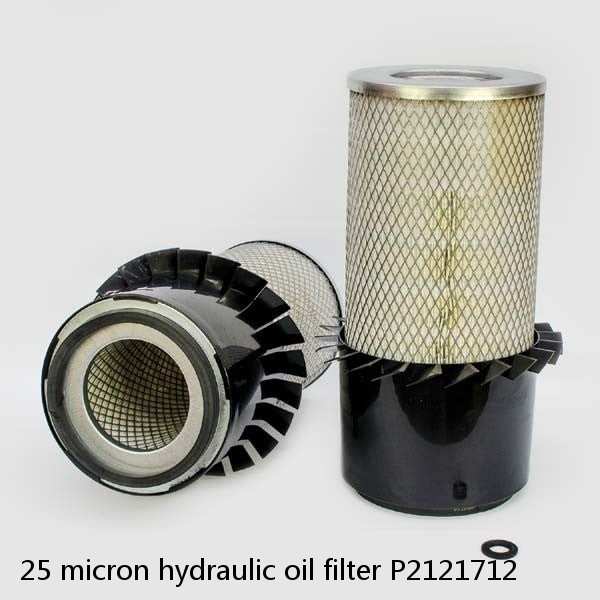 25 micron hydraulic oil filter P2121712 #5 image
