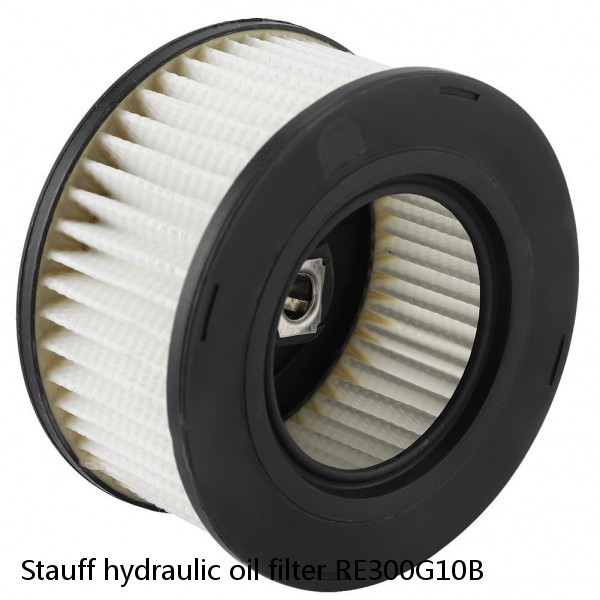 Stauff hydraulic oil filter RE300G10B #2 image