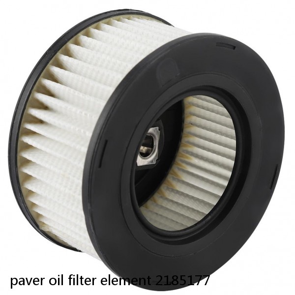 paver oil filter element 2185177 #4 image