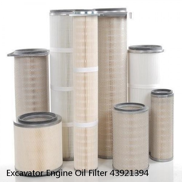 Excavator Engine Oil Filter 43921394 #3 image