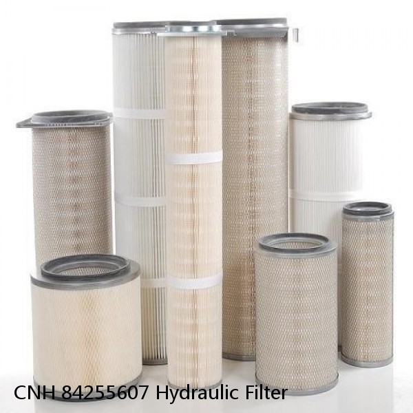 CNH 84255607 Hydraulic Filter #2 image