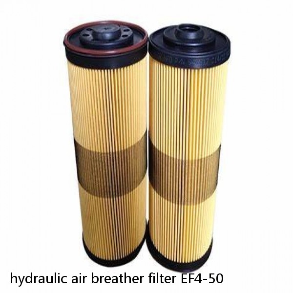 hydraulic air breather filter EF4-50 #1 image