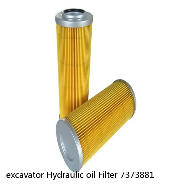 excavator Hydraulic oil Filter 7373881 #4 image