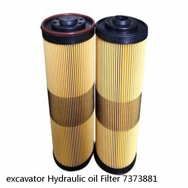excavator Hydraulic oil Filter 7373881 #5 image
