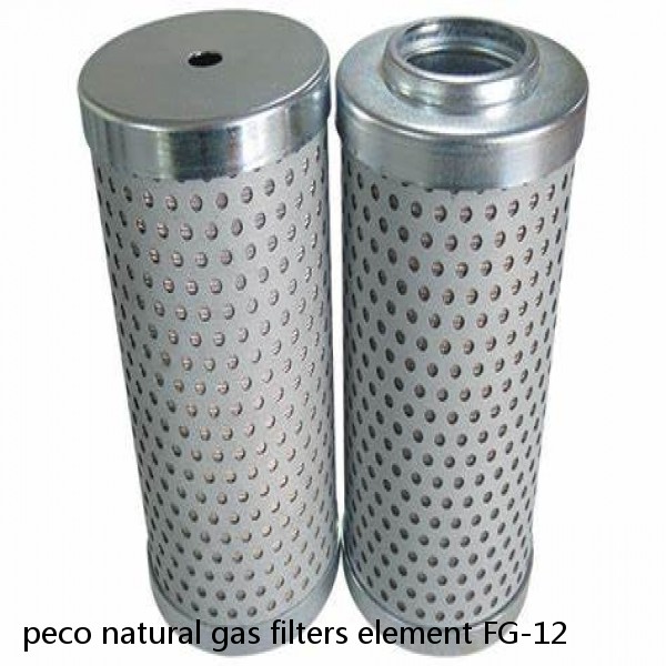 peco natural gas filters element FG-12 #5 image