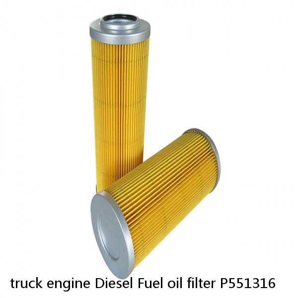 truck engine Diesel Fuel oil filter P551316 #4 image
